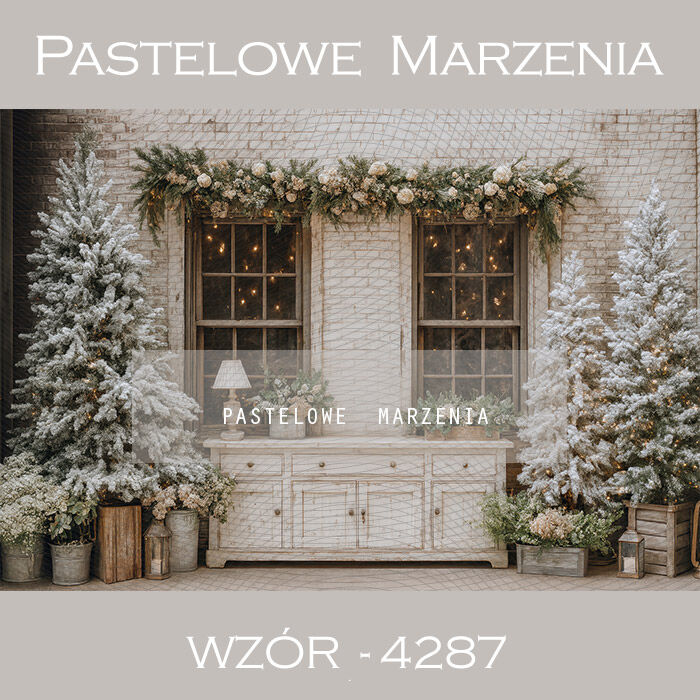 Christmas Photography Background with Windows t_4287