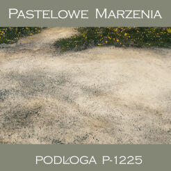 Photographic vinyl backdrop, ground p_1225