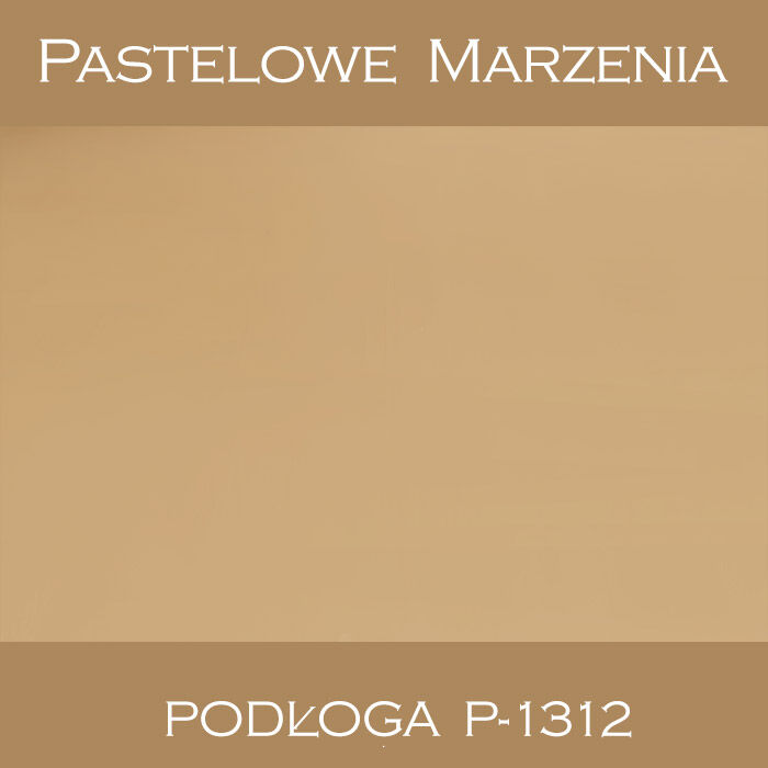 Photographic vinyl backdrop, plain p_1312