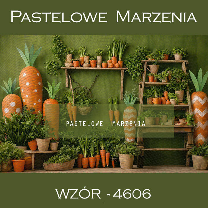 Tło fotograficzne wiosenne z marchewkami t_4606