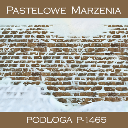 Tło fotograficzne winylowe, chodnik p_1465