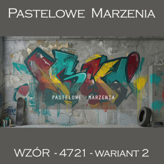 School photographic background with graffiti t_4721 - 2