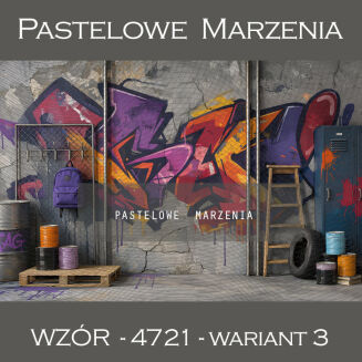School photographic background with graffiti t_4721 - 3