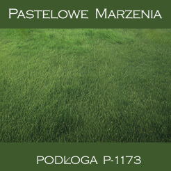 Photographic vinyl backdrop, grass p_1173