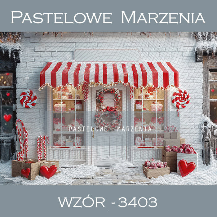 Photographic backdrop for Christmas with shop t_3403