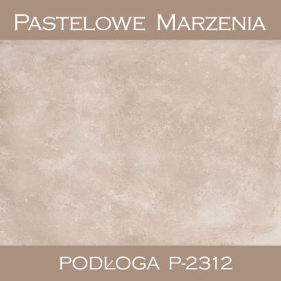 Vinyl photographic background, concrete p_2312