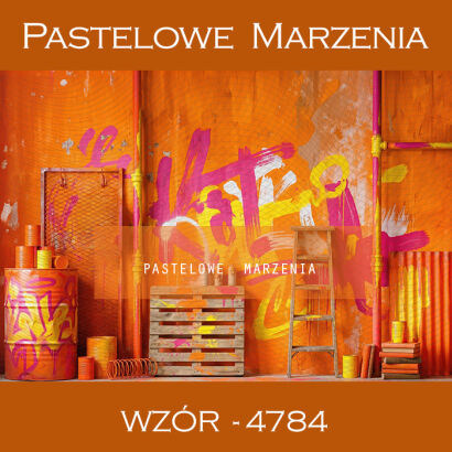 Tło fotograficzne szkolne z graffitti t_4784