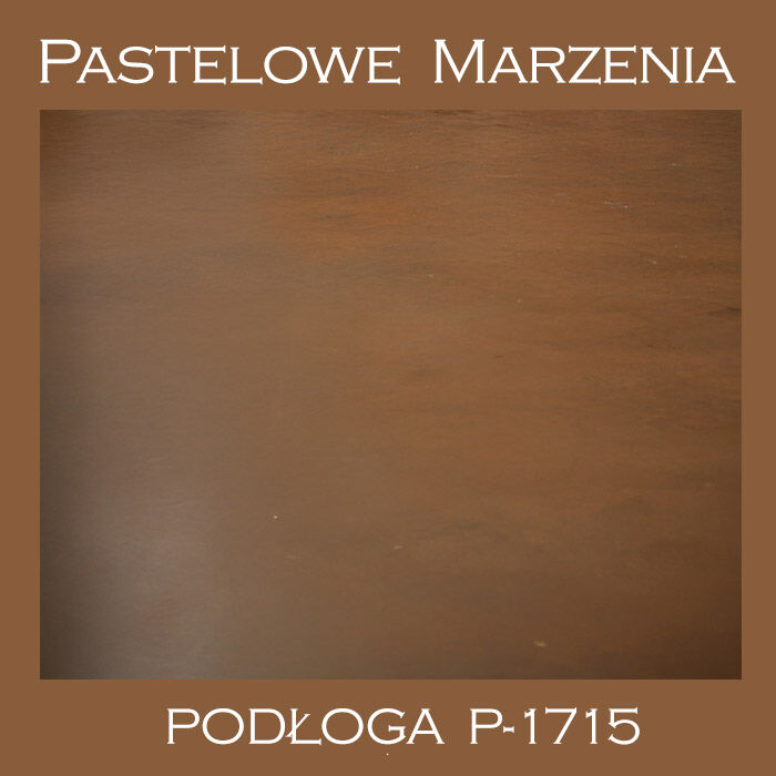 Vinyl photographic background, other p_1715