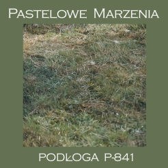 Photographic vinyl backdrop, grass p_841