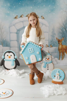 Photographic backdrop for Christmas with igloo t_4094 - 4