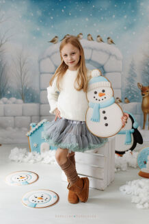 Photographic backdrop for Christmas with igloo t_4094 - 5