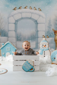 Photographic backdrop for Christmas with igloo t_4094 - 6