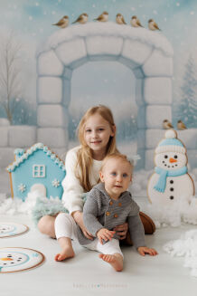 Photographic backdrop for Christmas with igloo t_4094 - 7