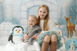 Photographic backdrop for Christmas with igloo t_4094 - 9