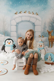 Photographic backdrop for Christmas with igloo t_4094 - 2