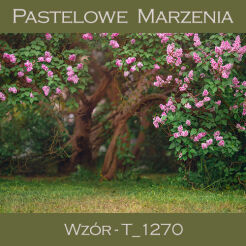 Tło fotograficzne 