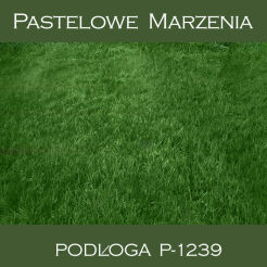 Photographic vinyl backdrop, grass p_1239