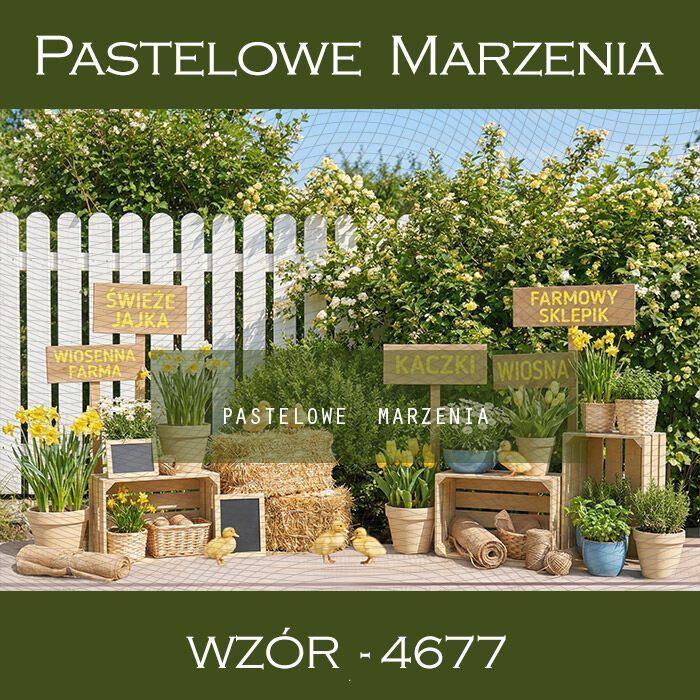 Tło fotograficzne wiosenne z kaczkami t_4677