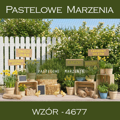 Tło fotograficzne wiosenne z kaczkami t_4677