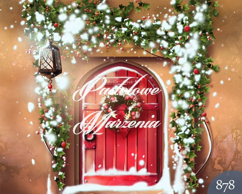 Photographic backdrop for Christmas with brown doors t_879