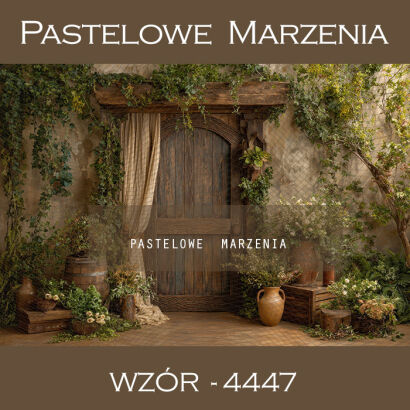 Tło fotograficzne wiosenne z drzwiami t_4447