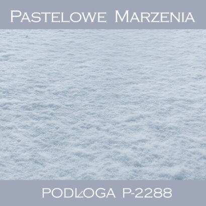 Vinyl photographic backdrop, snow p_2288