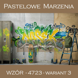 School photographic background with graffiti t_4723 - 3
