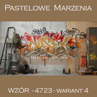 School photographic background with graffiti t_4723 - 5