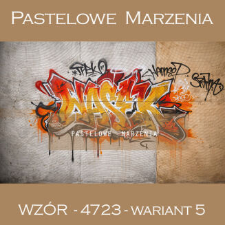 School photographic background with graffiti t_4723 - 6