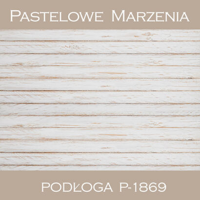 Vinyl photographic background, boards p_1869