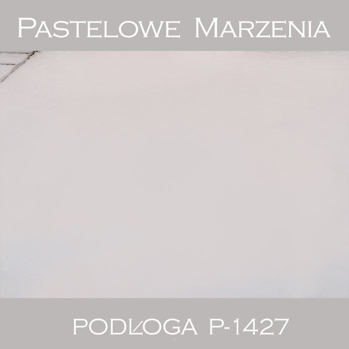 Tło fotograficzne winylowe, śnieg p_1427