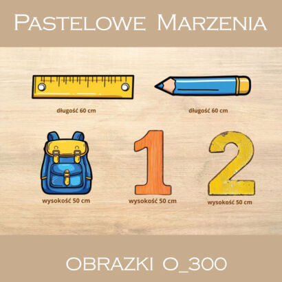 School session accessories - set of 5 pieces