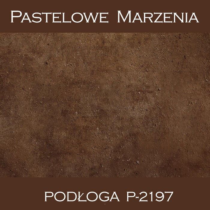 Vinyl photographic background, ground p_2197
