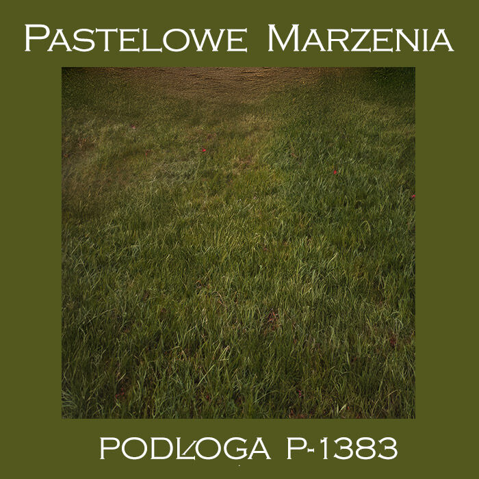 Photographic vinyl backdrop, grass p_1383