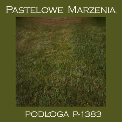 Photographic vinyl backdrop, grass p_1383