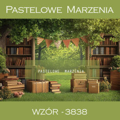 Photographic school backdrop with books t_3838