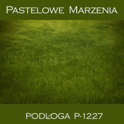 Photographic vinyl backdrop, grass p_1227