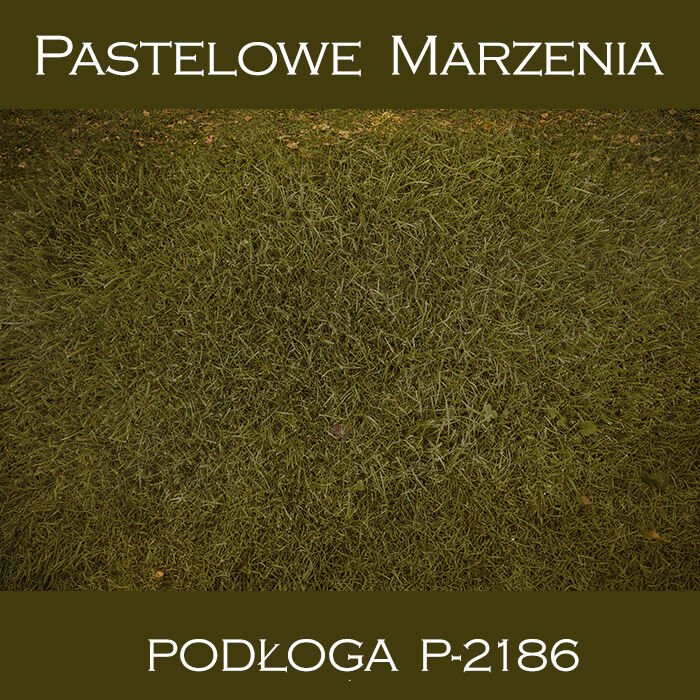Vinyl photographic background, grass p_2186