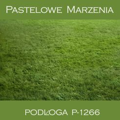 Photographic vinyl backdrop, grass p_1266