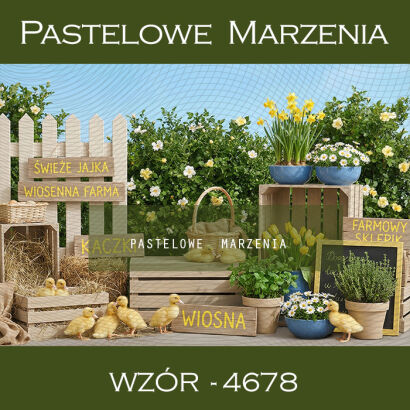 Tło fotograficzne wiosenne z kaczkami t_4678