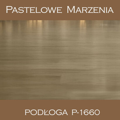 Vinyl photographic background, boards p_1660