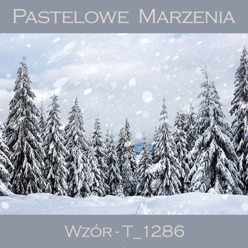 Tło fotograficzne materiałowe t_1286 - zima