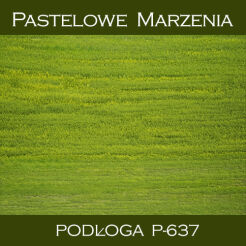Photographic background