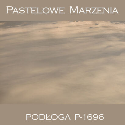 Vinyl photographic background, other p_1696