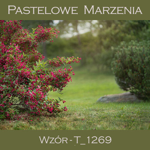 Tło fotograficzne materiałowe t_1269 - przyroda