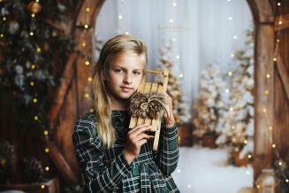 Photographic backdrop from winter gate category t_4203 - 2
