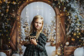 Photographic backdrop from winter gate category t_4203 - 3