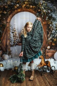 Photographic backdrop from winter gate category t_4203 - 5