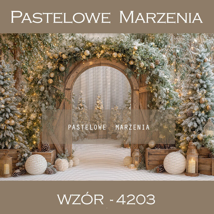 Tło fotograficzne brama zimowa t_4203