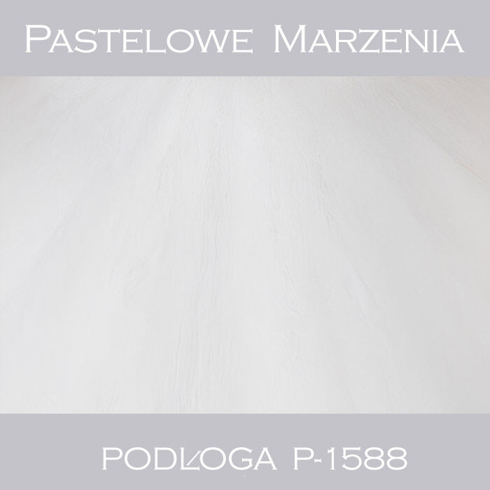Vinyl photographic background, boards p_1588